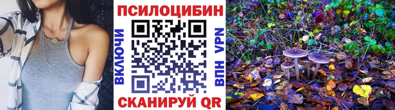 Псилоцибиновые грибы Psilocybine cubensis  магазин продажи   Боровичи 